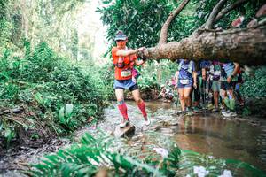 BIB: 
                            <button type="button" onclick="openModal(25514325)" class="btn btn-primary btn-sm float-right btn-popup" data-toggle="modal" data-target=".modal-high-quality">
                        <i class="fas fa-shopping-cart"></i> Add to Cart
                    </button>
                                            <button type="button" onclick="isThisMe(25514325, true)" class="btn btn-success btn-sm float-right btn-popup btn-isme hidden" data-toggle="tooltip" data-placement="bottom" title="นี่คือรูปของคุณใช่ไหม คลิกที่นี่เพื่อเอาเข้าอัลบั้ม">
                        <i class="fas fa-plus"></i> Add to album
                    </button>
                    <button type="button" onclick="isThisMe(25514325, false)" class="btn btn-warning btn-sm float-right btn-popup btn-isnotme hidden">
                        <i class="fas fa-ban"></i> Remove from album
                    </button>